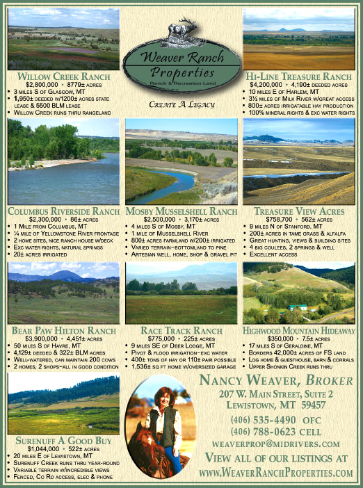 October 2008 Weaver Ranch Properties
									<br />
									Page 06
									  ♦  
									7¼"W x 9¾"H<br />
									100# Coated Text Stock
