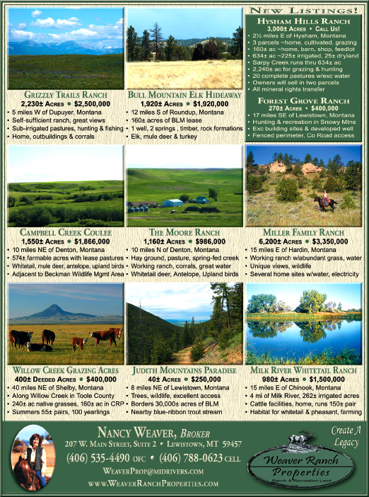 June 2010 Montana Land Magazine
									<br />
									Page 06
									  ♦  
									7¼"W x 9¾"H<br />
									100# Coated Text Stock